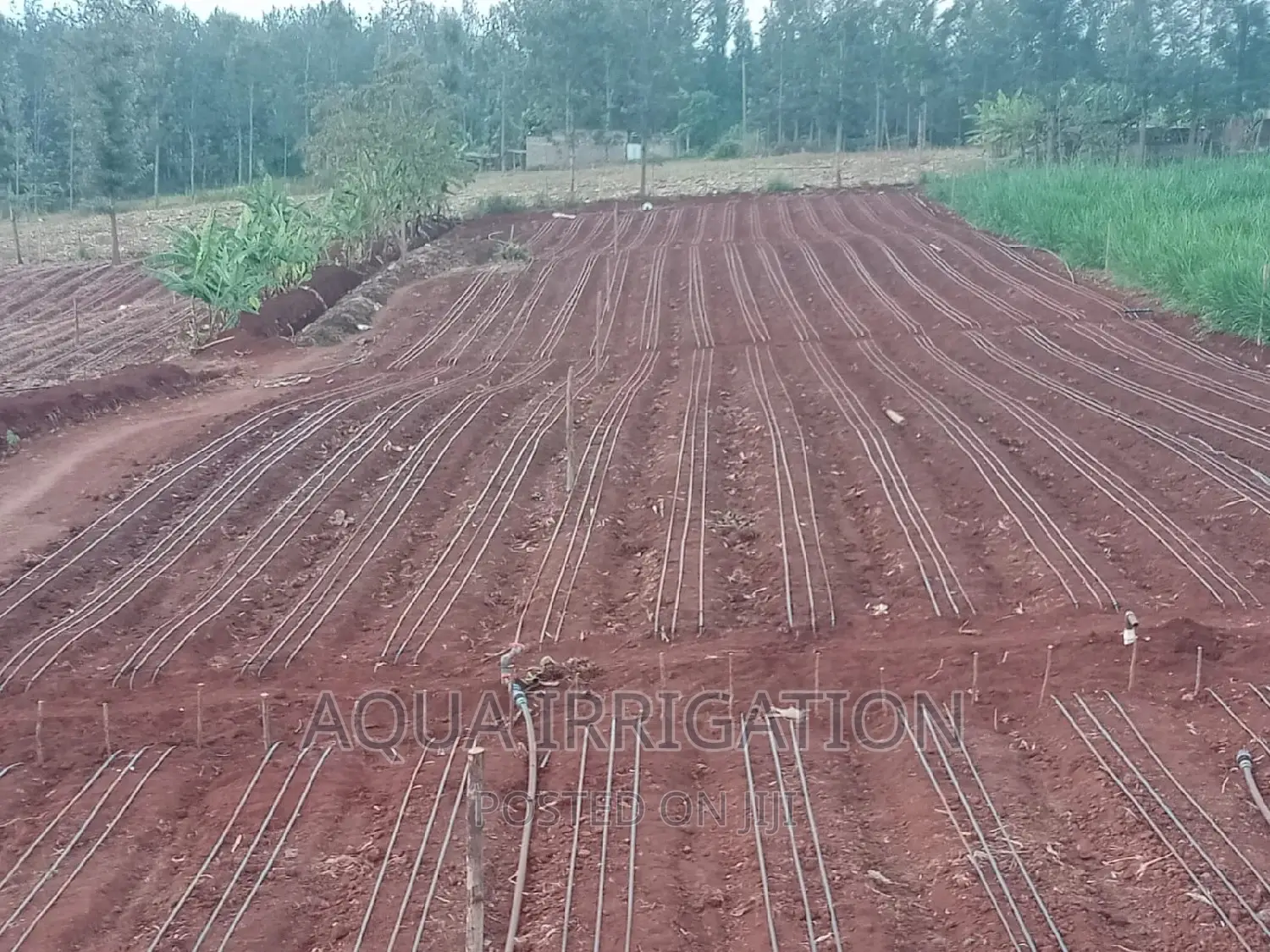 Drip Irrigation System