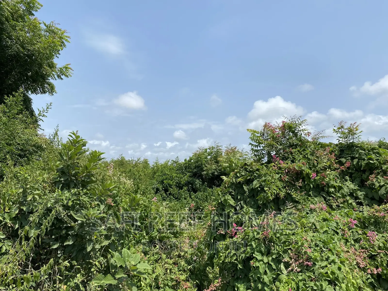 PRIME 1.1 Acre LAND for SALE in Links RD Ideal for High Rise
