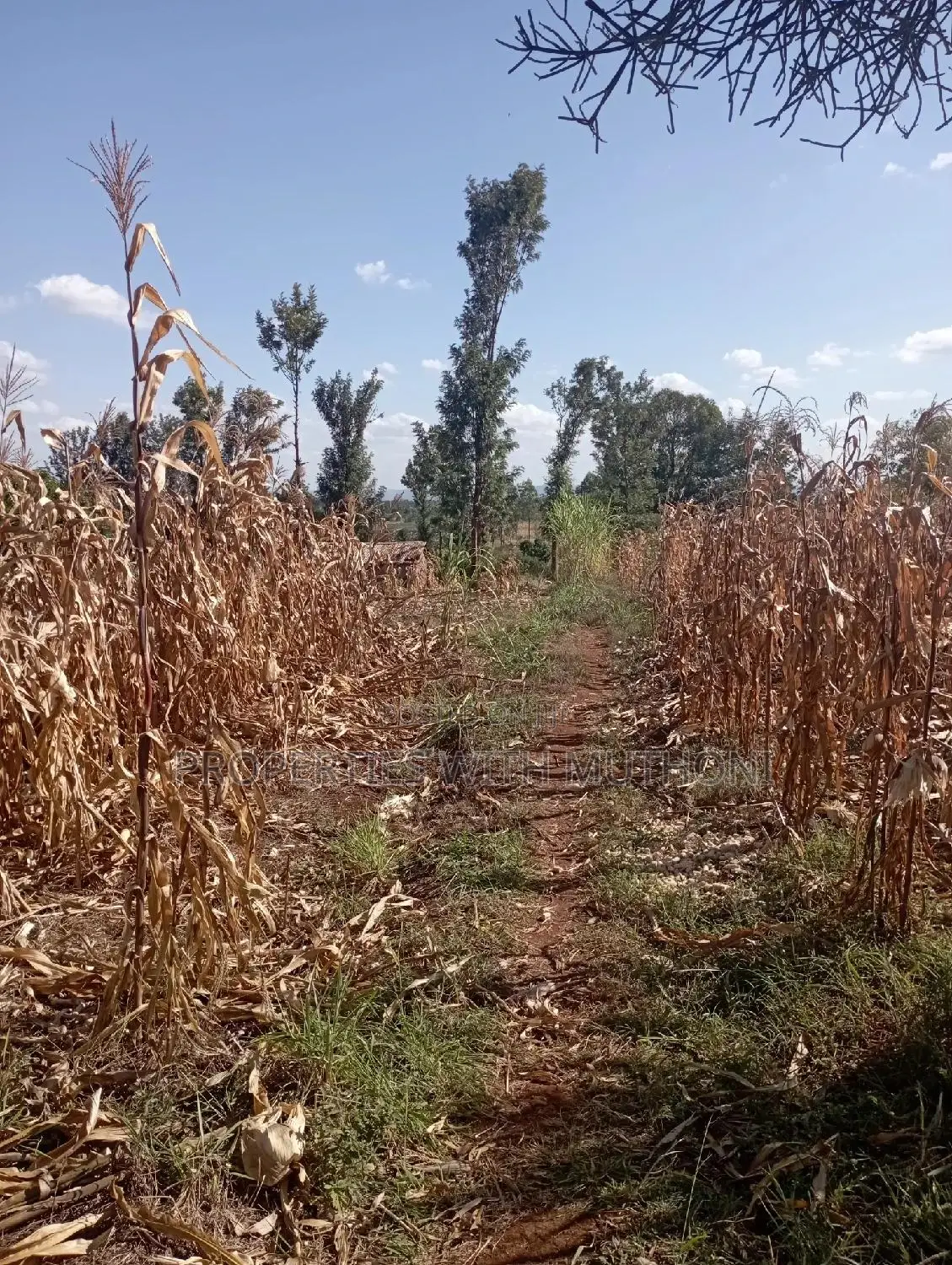 1acre for Sale in Labour, Kandongu, Kianjogu Mwea