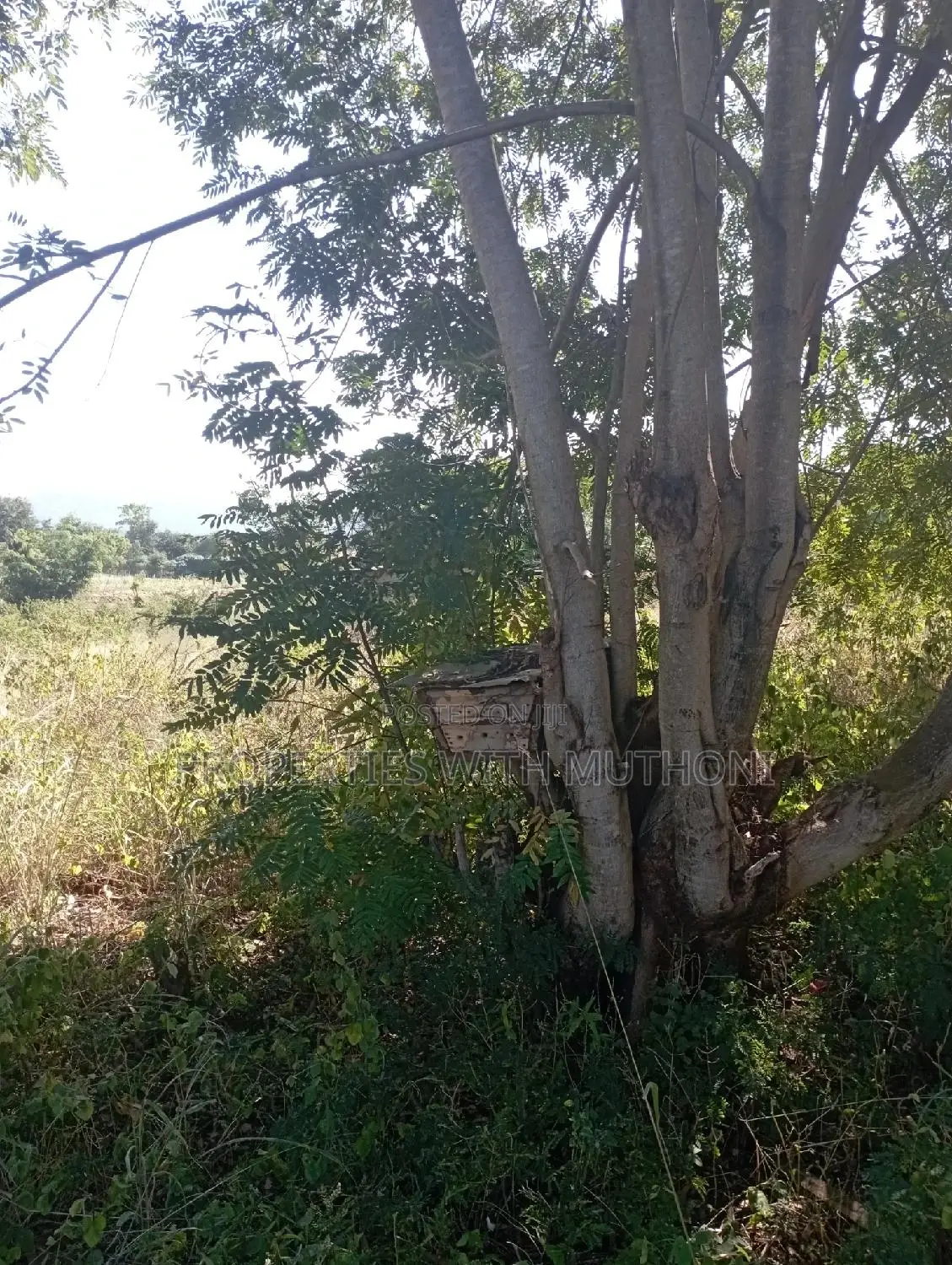 1acre for Sale in Labour, Kandongu, Kianjogu Mwea