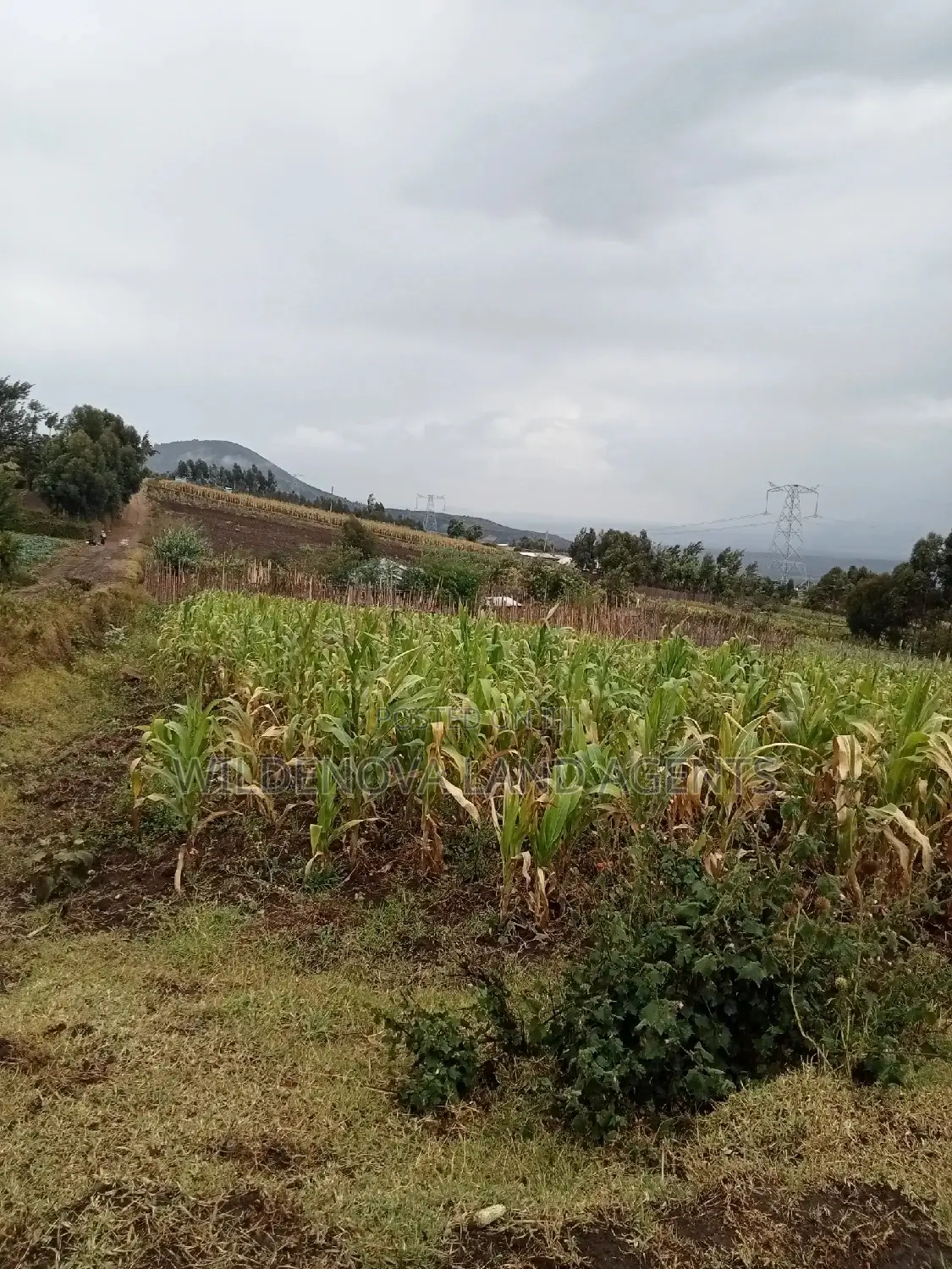 Land on Sale at Viewpoint Naivasha