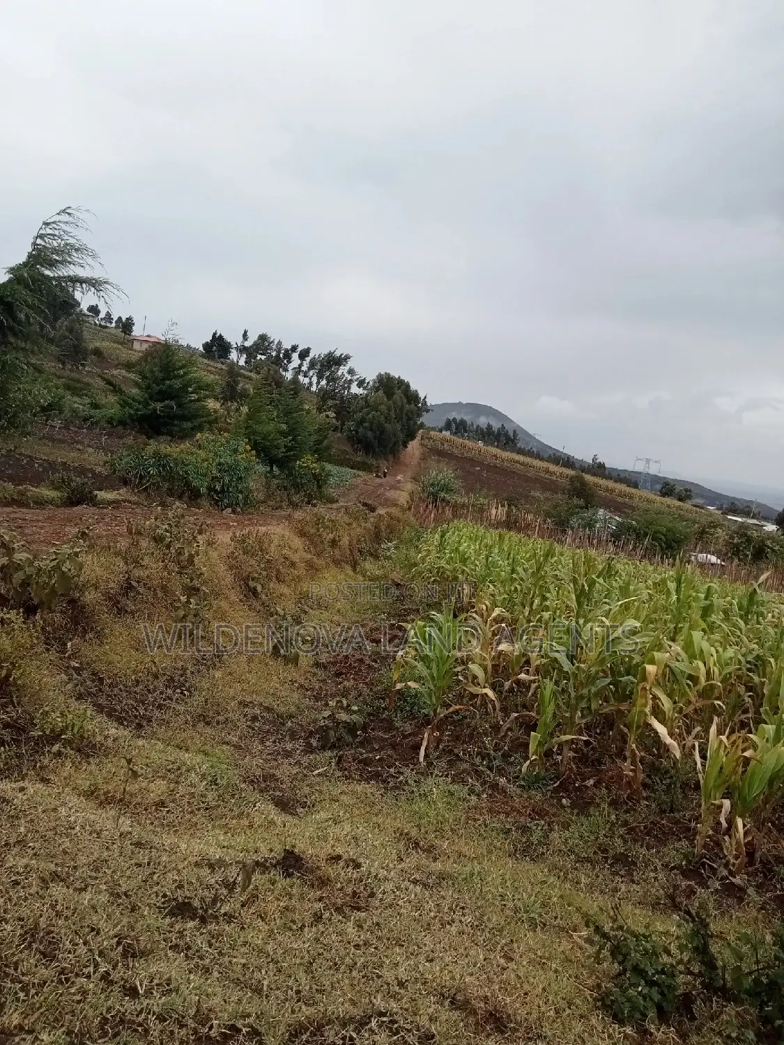 Land on Sale at Viewpoint Naivasha