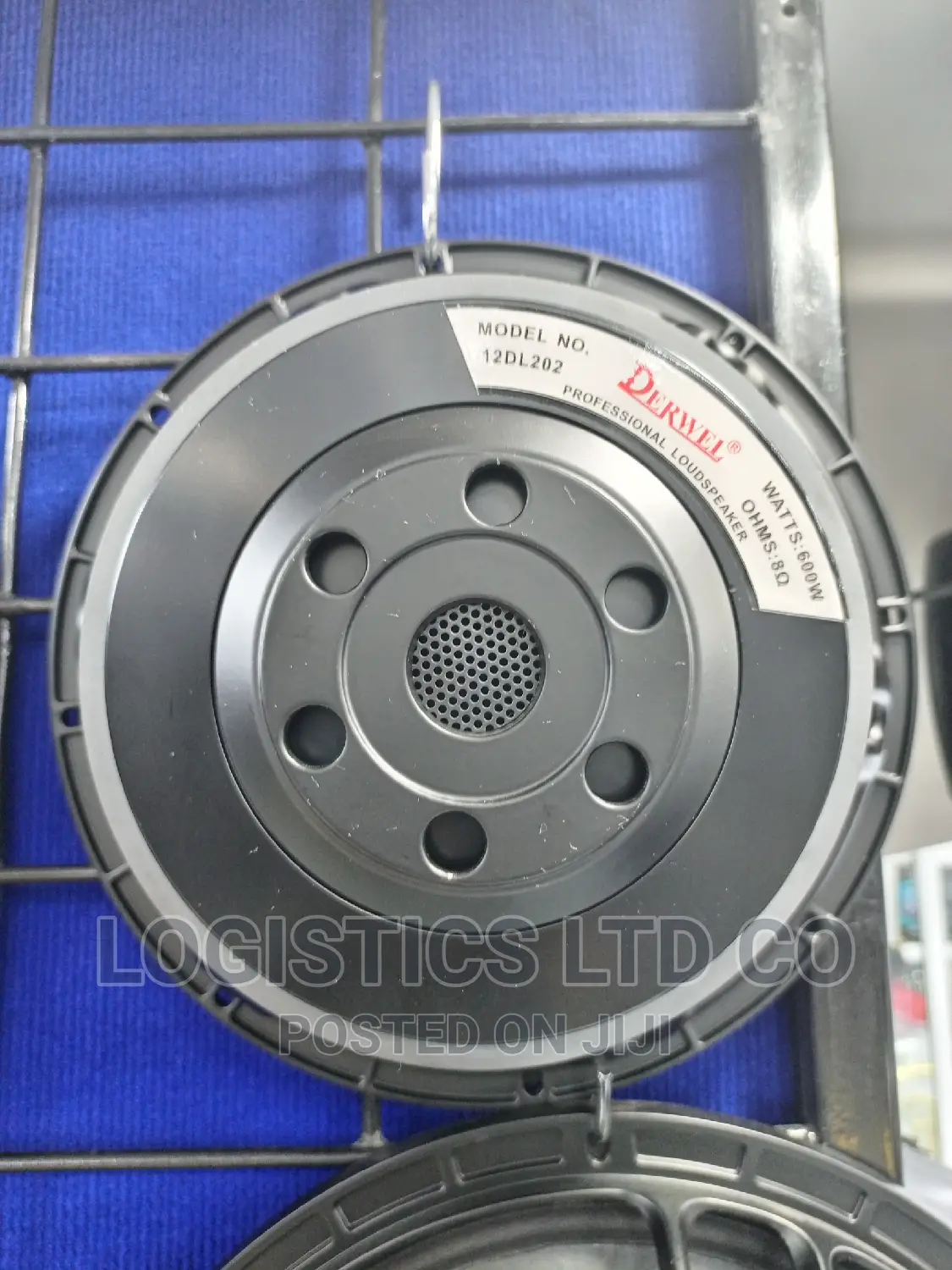 Derwel 12 Inch Naked Speaker 12dl202