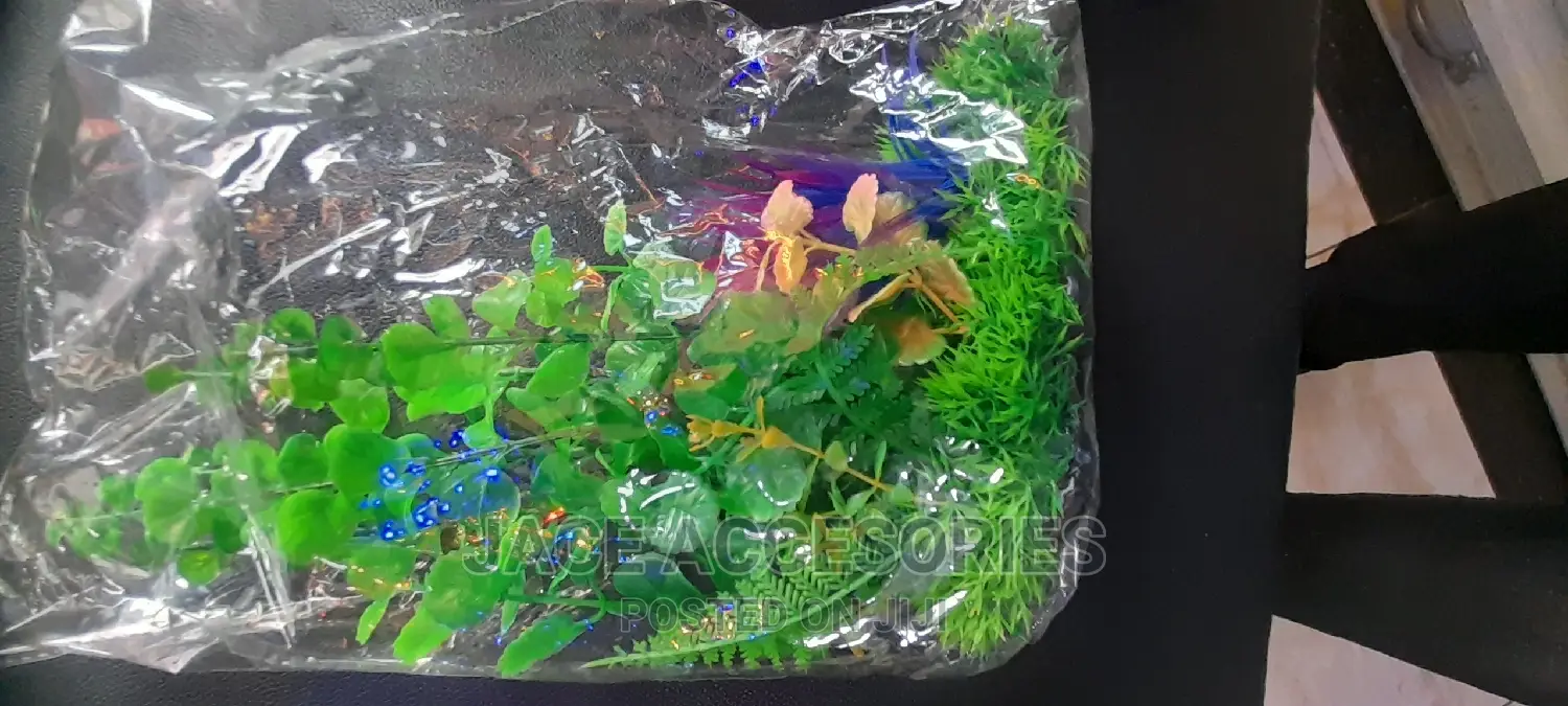 Acquarium Plants Shrub