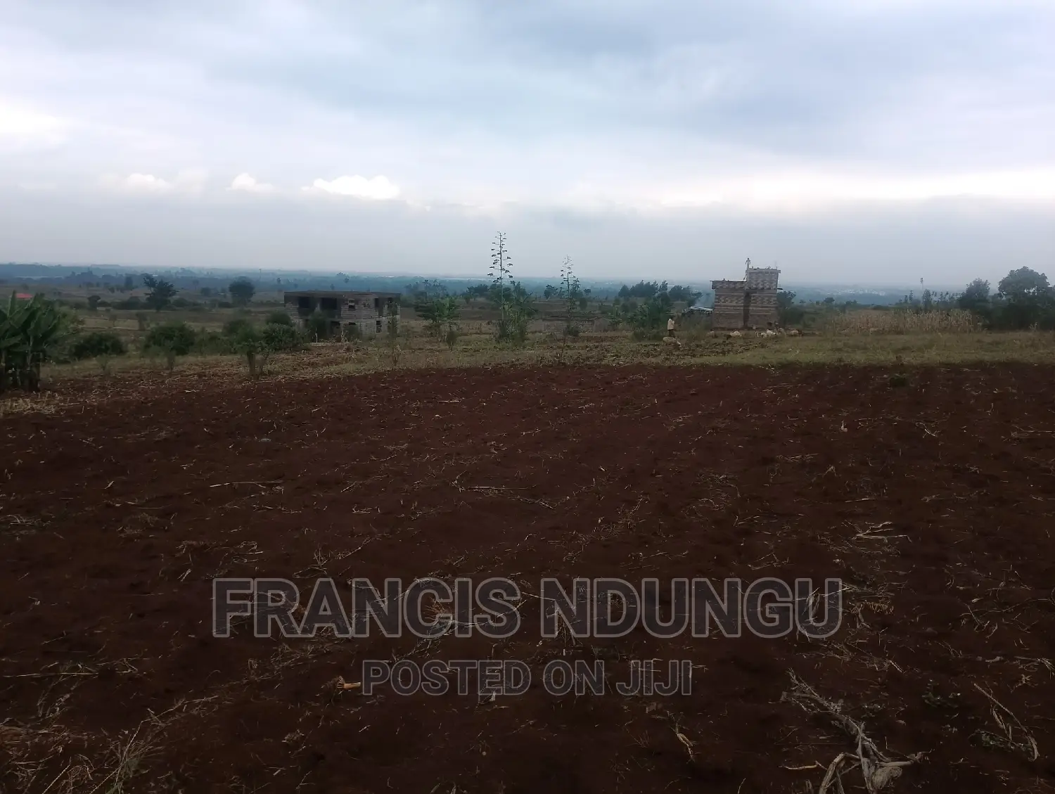 Residential Plot in Matrofi Gated Estatetinganga Kiambutown