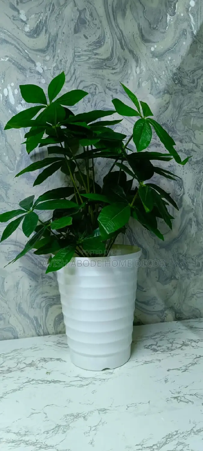 Artificial Indoor and Outdoor House and Office Mango Plants