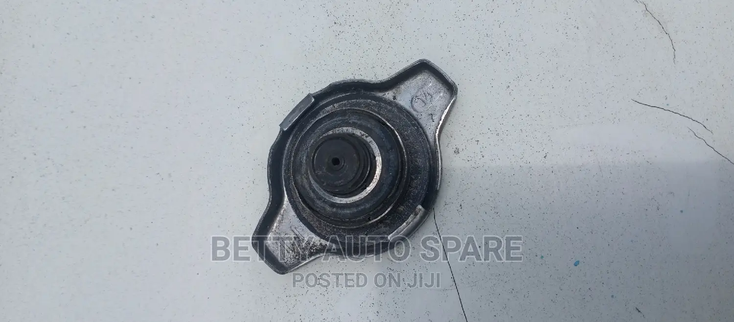 Toyota Fielder Radiator Rid