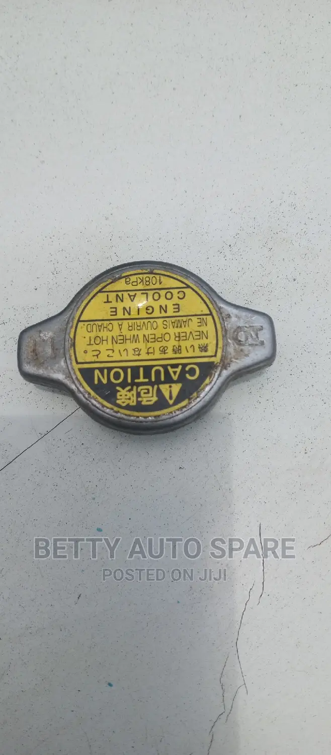 Toyota Fielder Radiator Rid