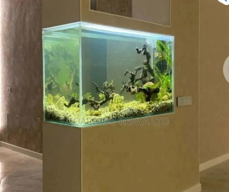 Side Wall Aquarium, Custom Made