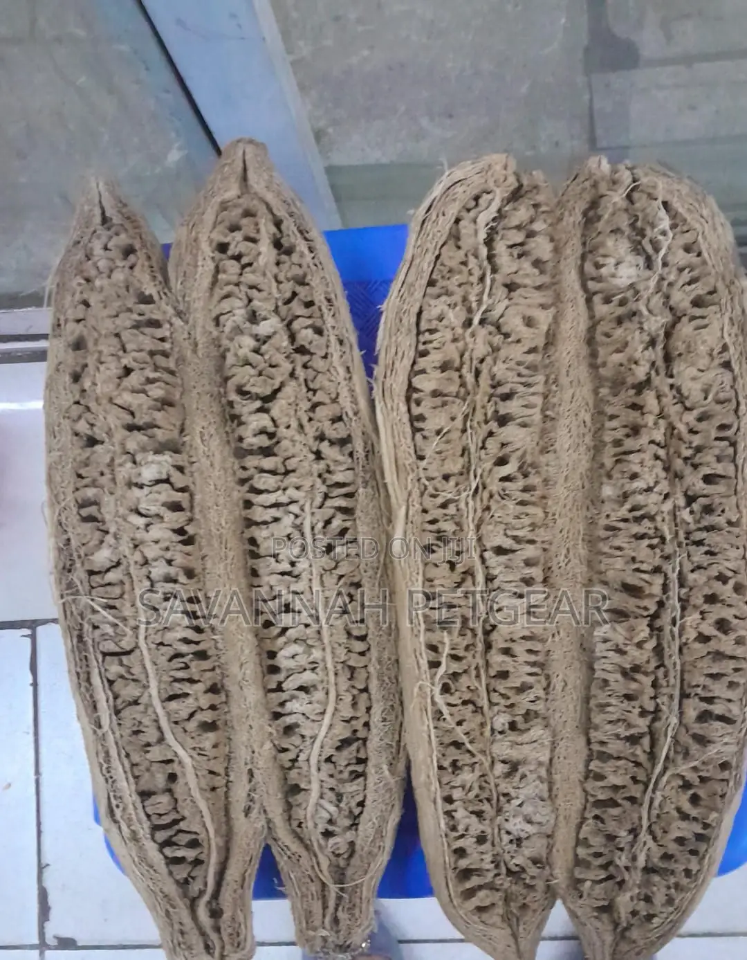 Dried Miratina Fruits Kigelia Africana Sausage Tree Fruits - Per Fruit