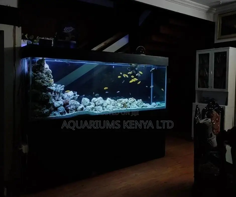 Coral Aquascape Aquarium , Custom Made Big Aquarium