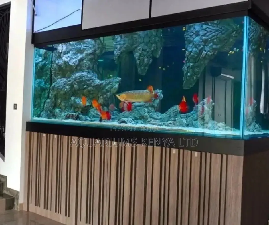 Big Aquarium (Custom Made)