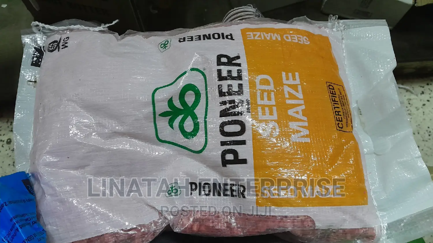 Pioneer Maize Seeds 2kg