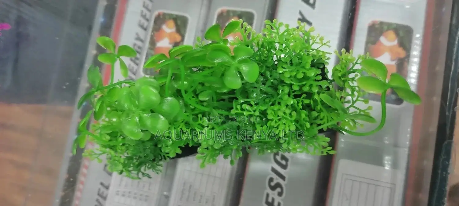 Plastic Create Bottom Aquarium Plants