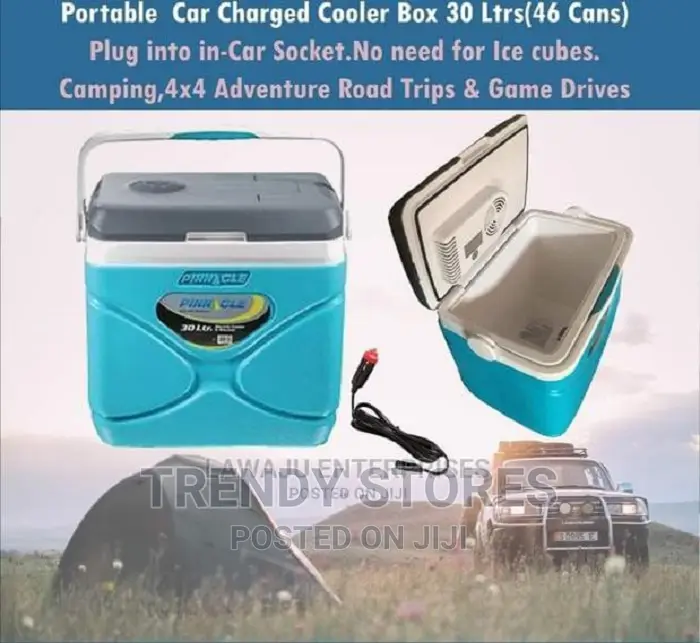 30 Litres Electric Cooler Box/ Mini Fridge With Both Home An
