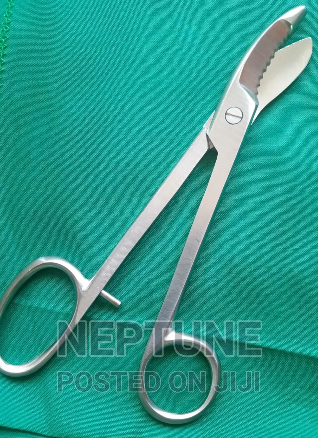 Braun Plaster Shear