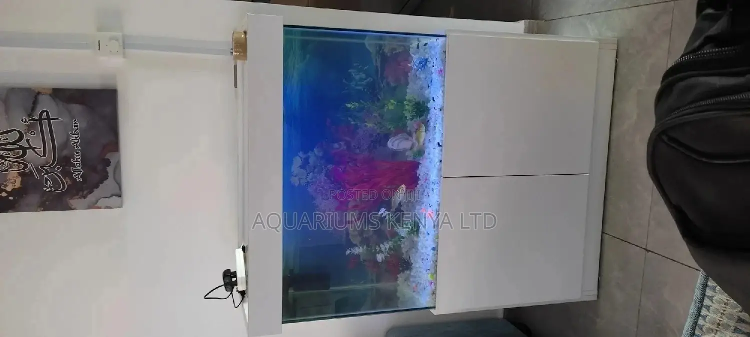 Complete Set Aquarium in Kenya , Custom Made Aquariums