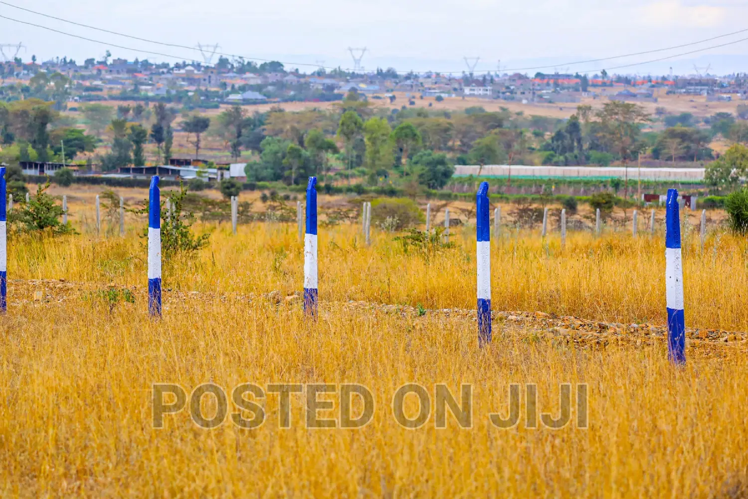 50 by 100 Plots in Kamulu, Mw^