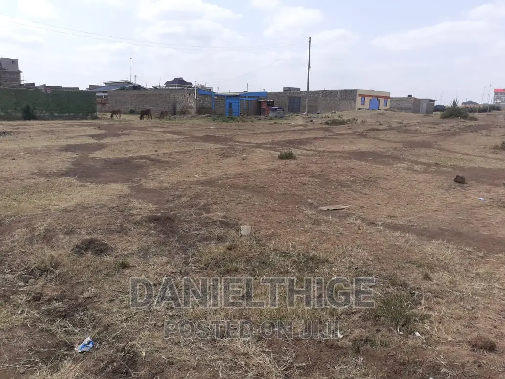 Eighth Acre Plot 40*80 Near Corner Brook School Titled Reduced Price