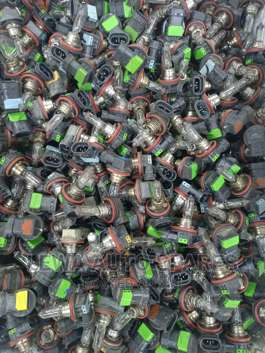 Foglight Bulbs, and Headlight