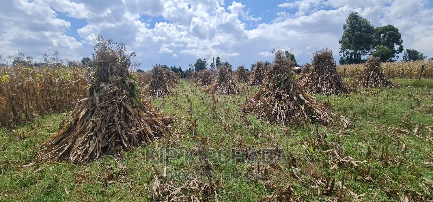1 Acre for Sale Merewet 100 Metres From Highway Eldoret