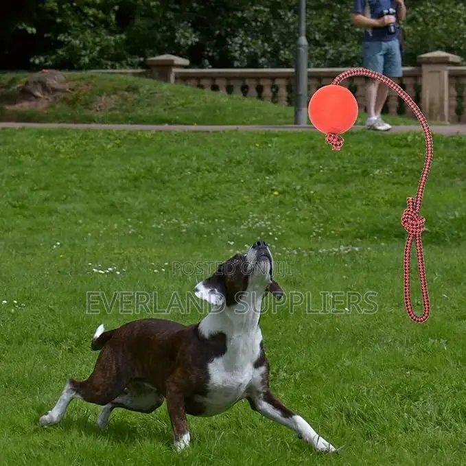 Tug Ball Toy
