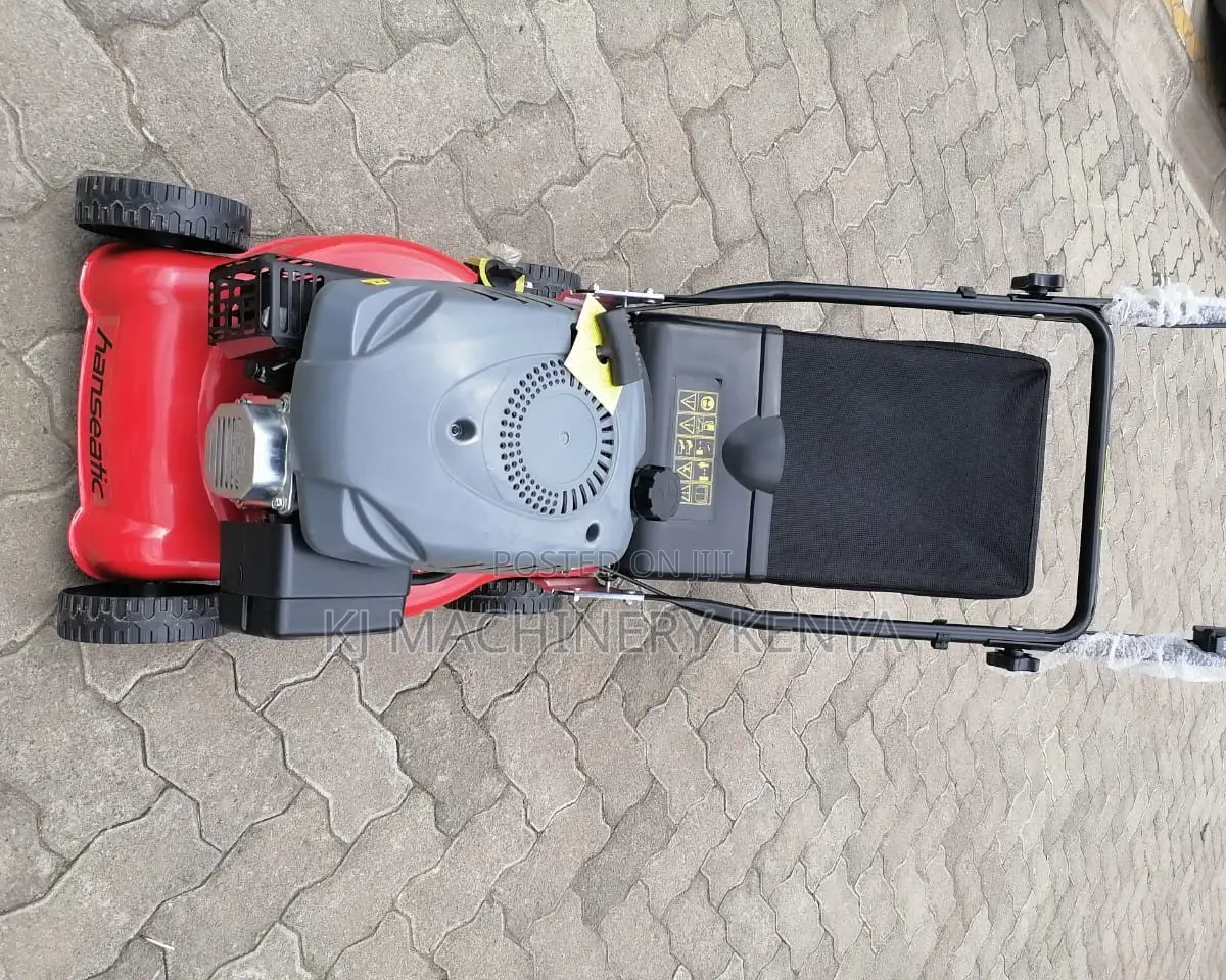 Lawnmower Hanseatic