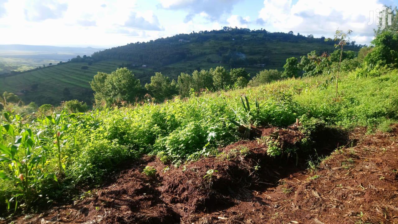 One Acre Mua Hills