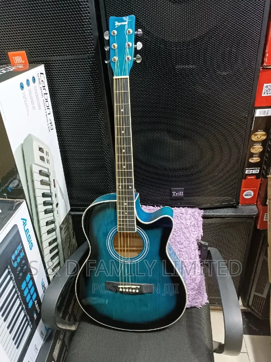 Ibanez Full Size Acoustic Guitar