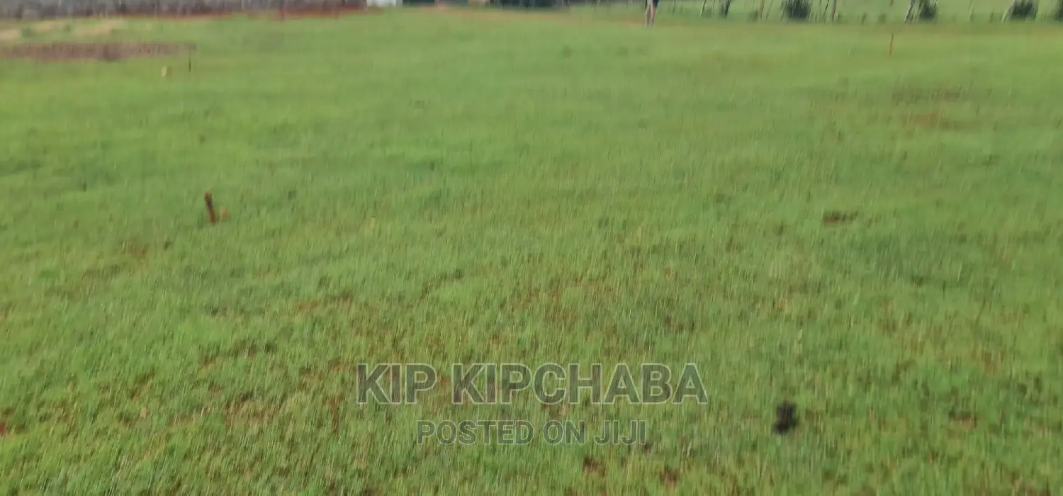 Commercial Plot for Sale Touching Tarmac in Annex Eldoret
