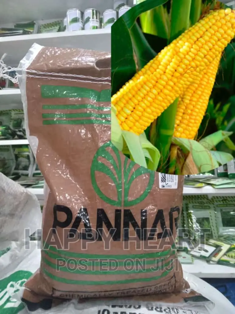 Yellow Maize Pan 14 2kg