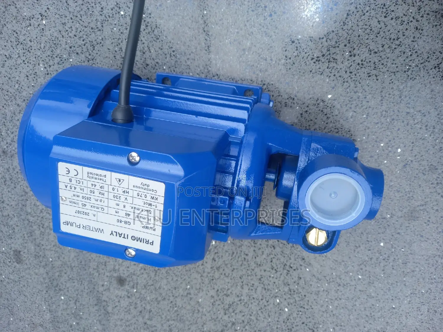 Primo Italy Water Pump of High Quality
