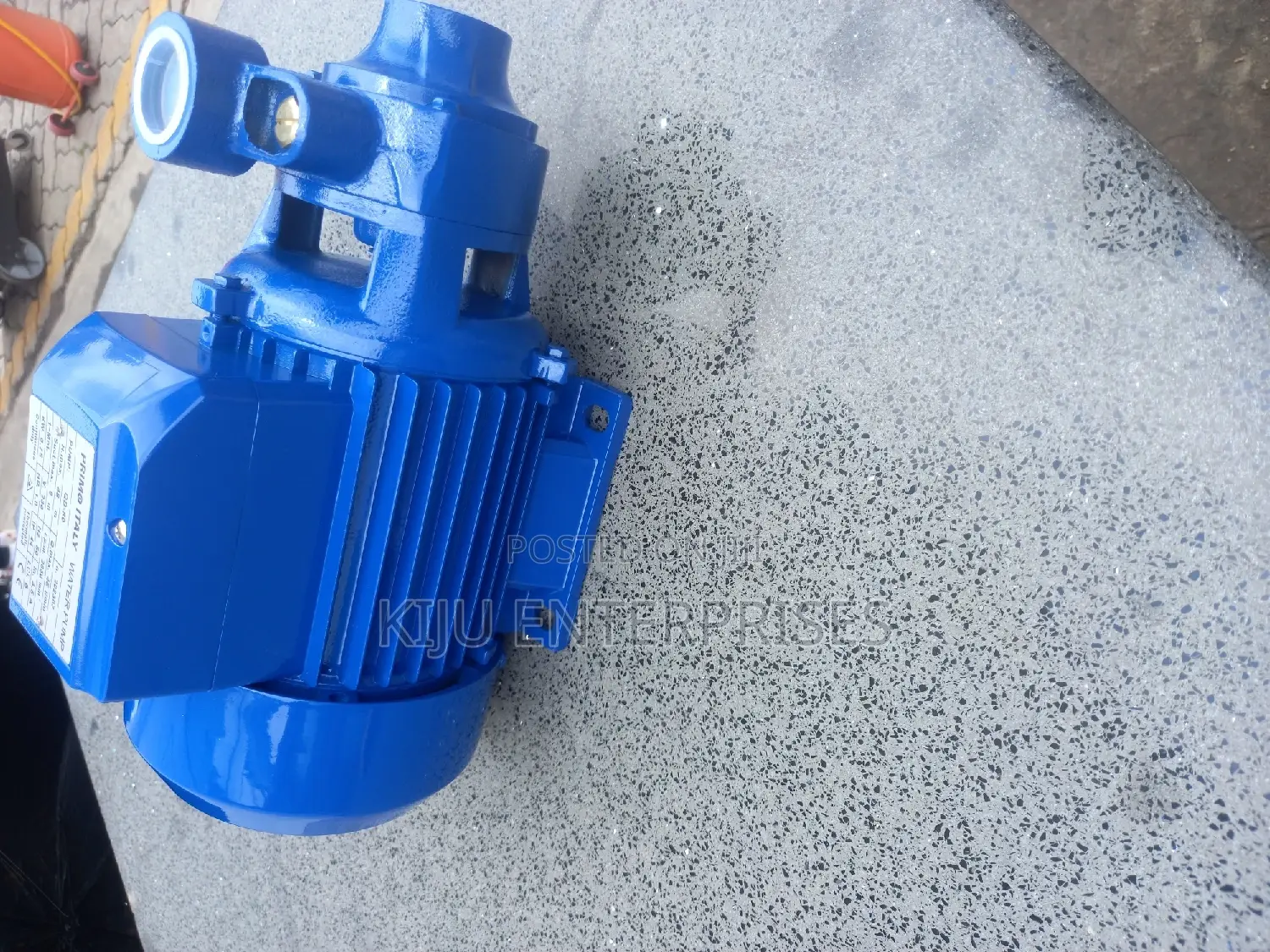 Primo Italy Water Pump of High Quality