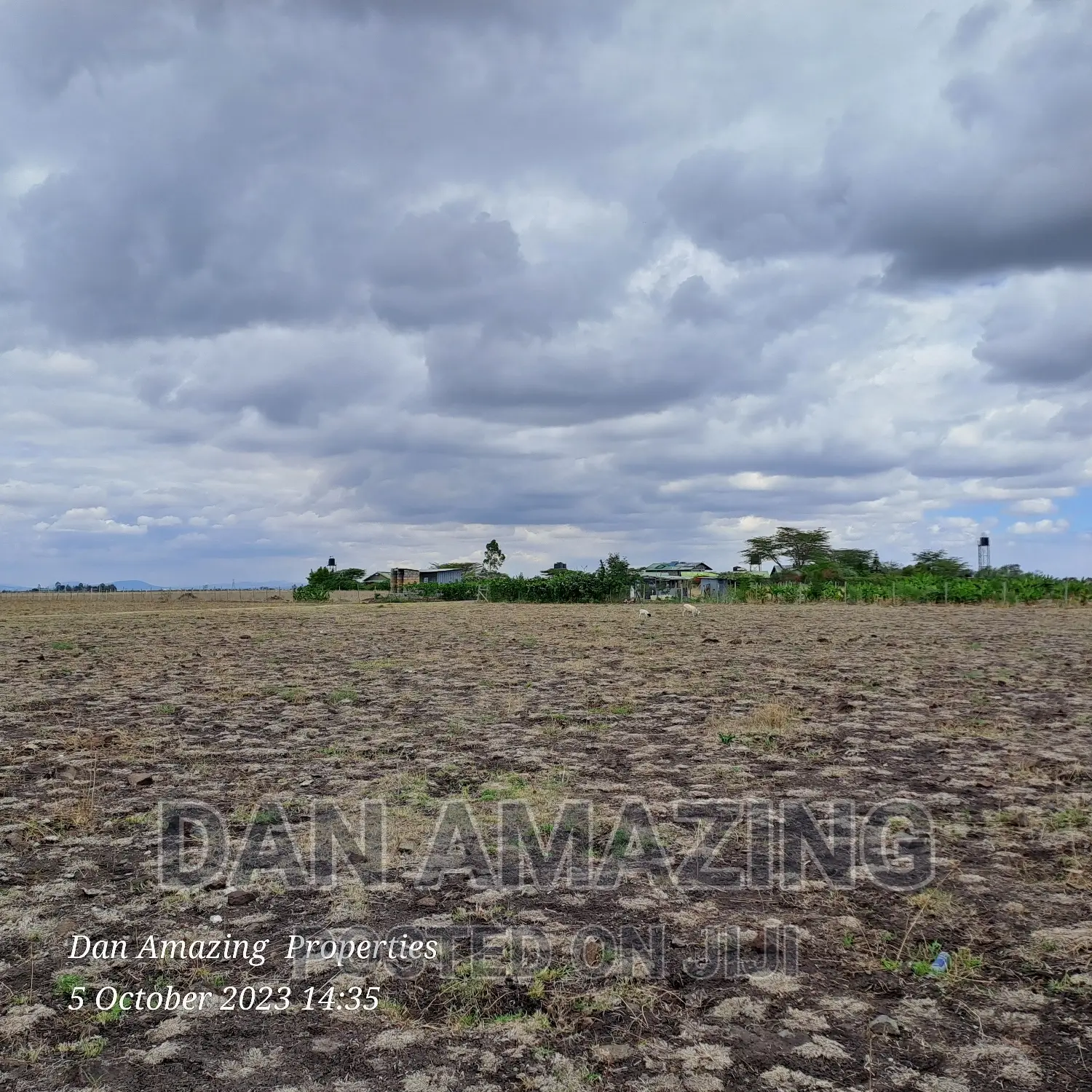 2 Acres for Sale Birika Ostrich Farm