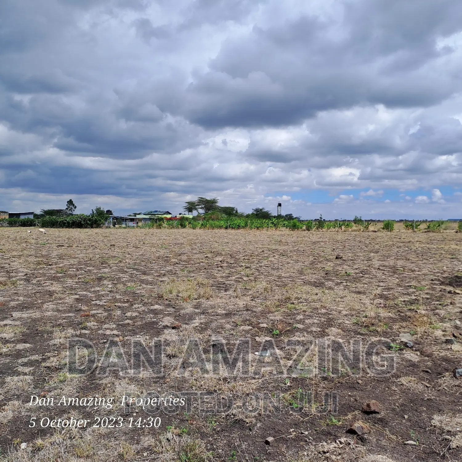 2 Acres for Sale Birika Ostrich Farm