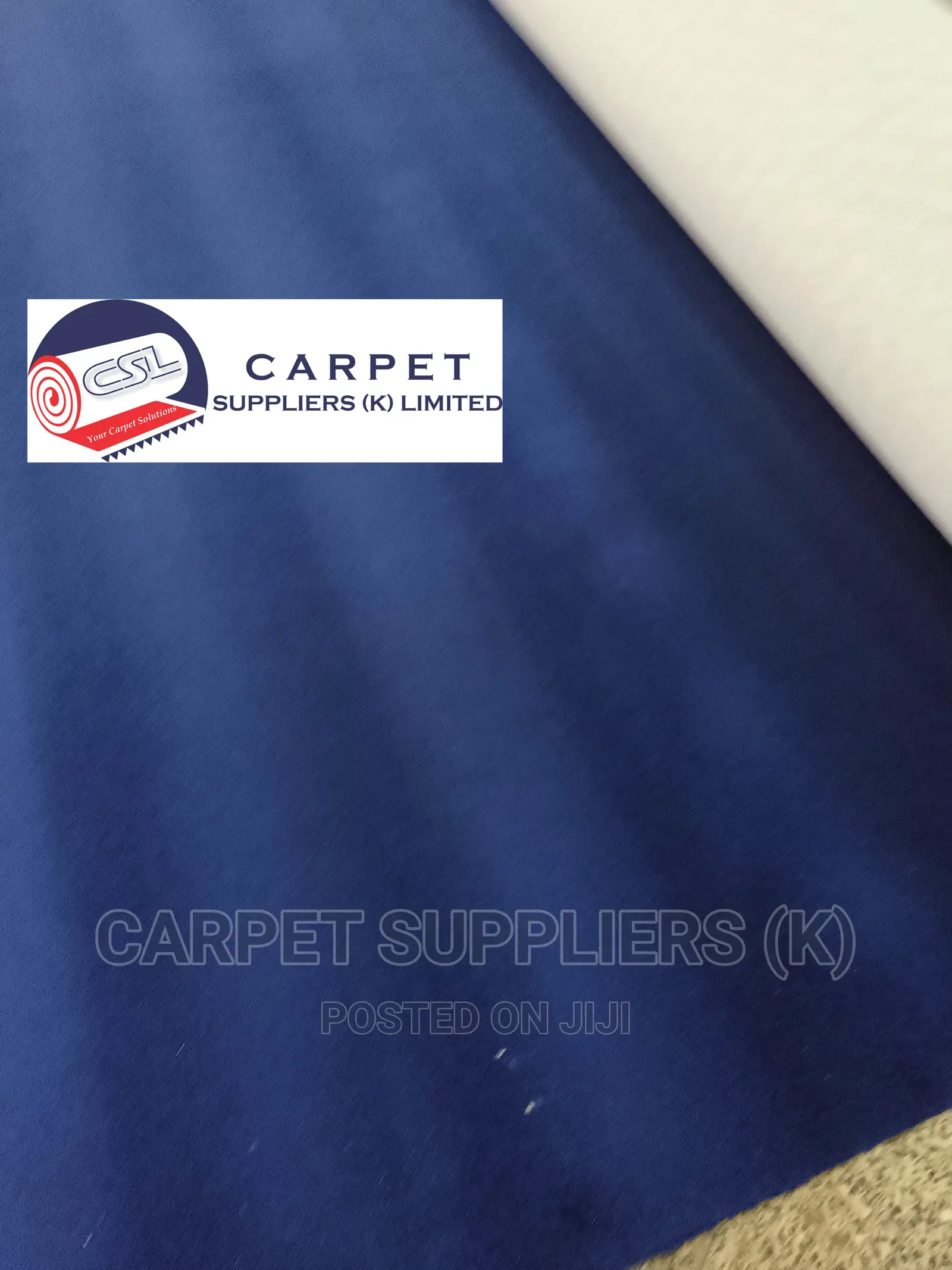 Blue Wall to Wall Carpet