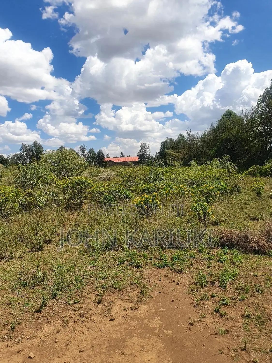 50x100 Plots in Naivasha Nyamathi Alpaha Gardens
