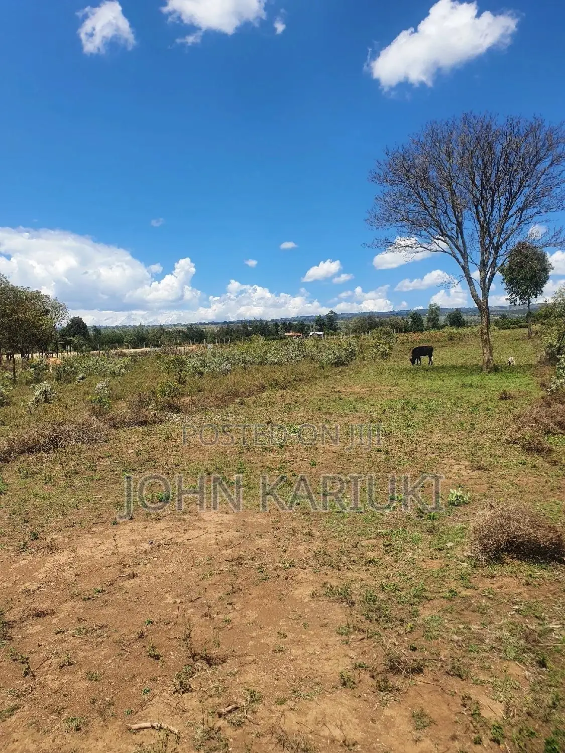 50x100 Plots in Naivasha Nyamathi Alpaha Gardens