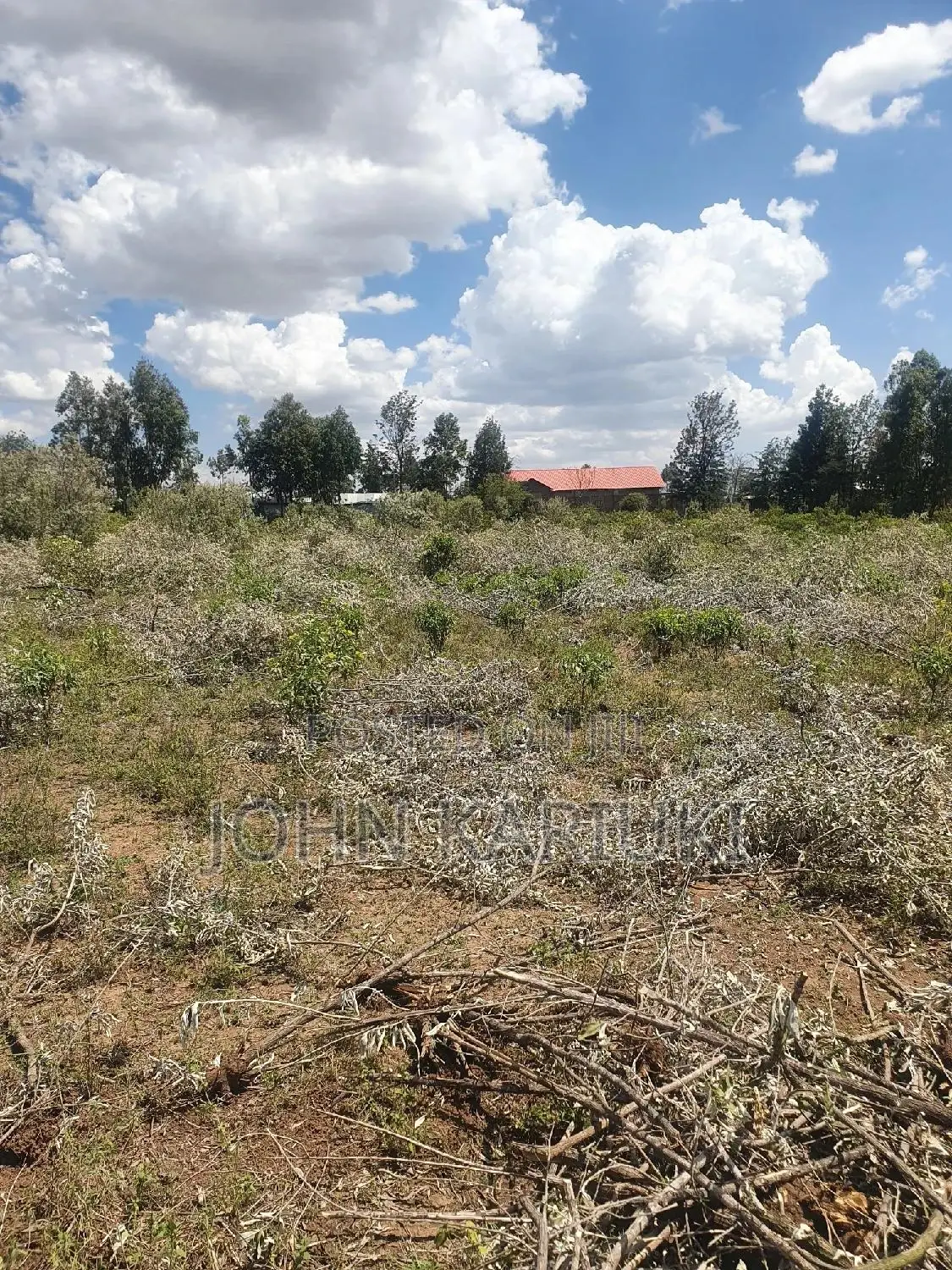 50x100 Plots in Naivasha Nyamathi Alpaha Gardens