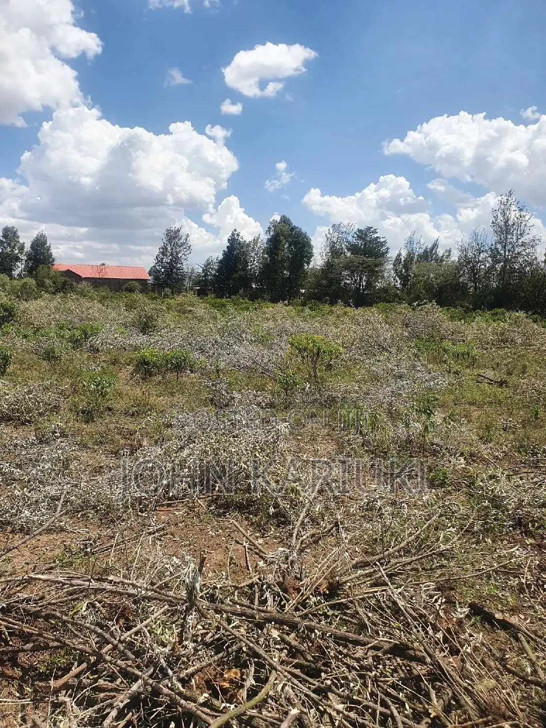 50x100 Plots in Naivasha Nyamathi Alpaha Gardens