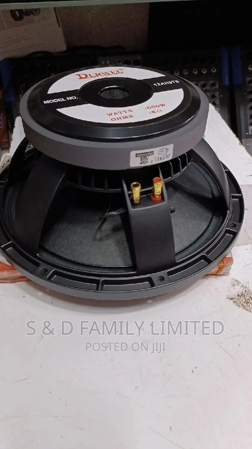 Derwel 12 Inch 12AH975 Speaker
