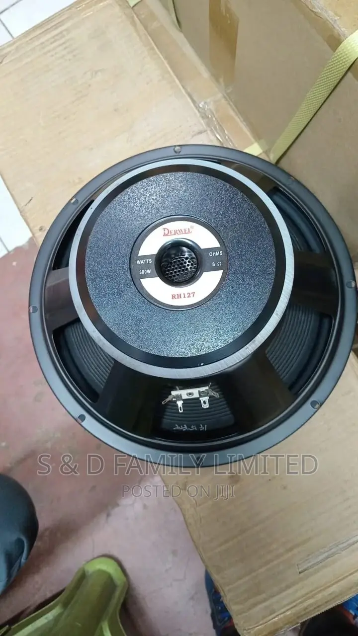Derwel 12 Inch 12AH975 Speaker