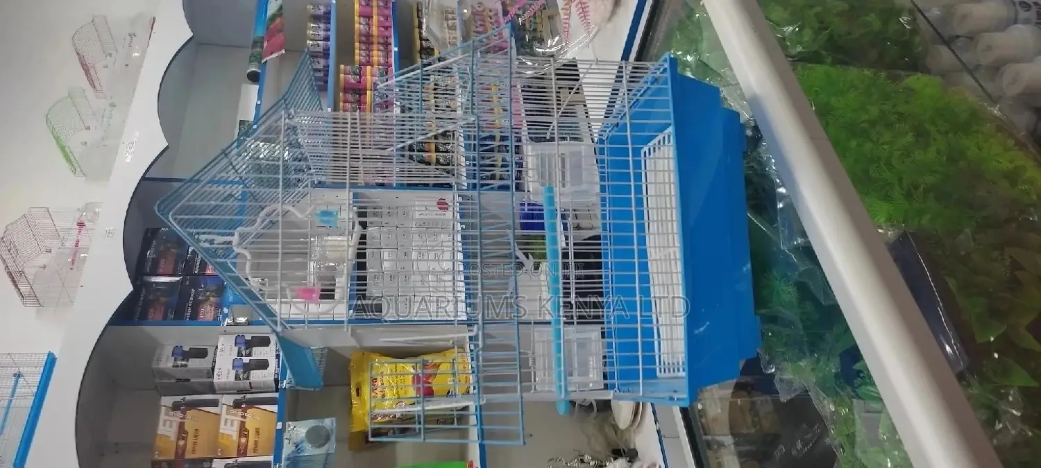 Blue Head Bird Cage for Small Birds