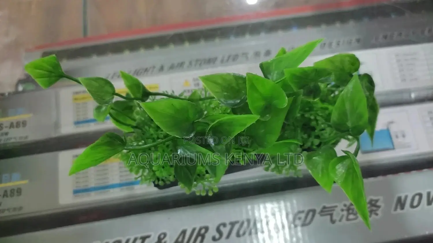 Plastic Ground Plants
