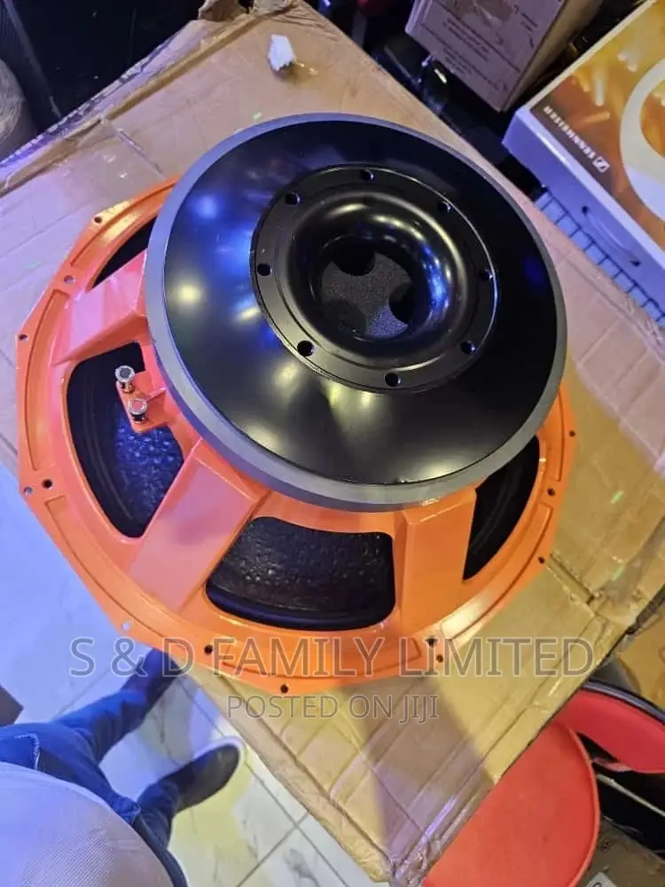 PD 21 Inches Naked Speaker
