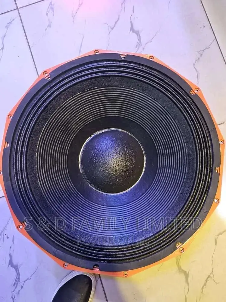 PD 21 Inches Naked Speaker