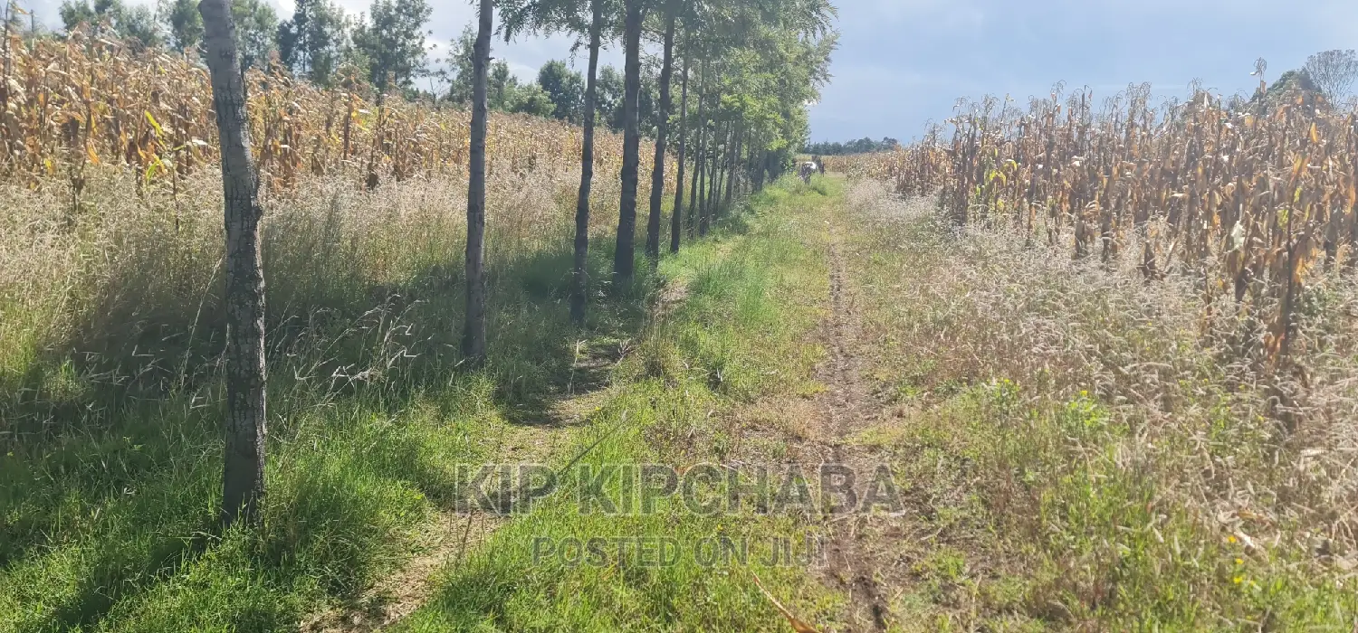 1⁄4 Plot for Sale in Chepkanga Before Mwisho Wa Lami