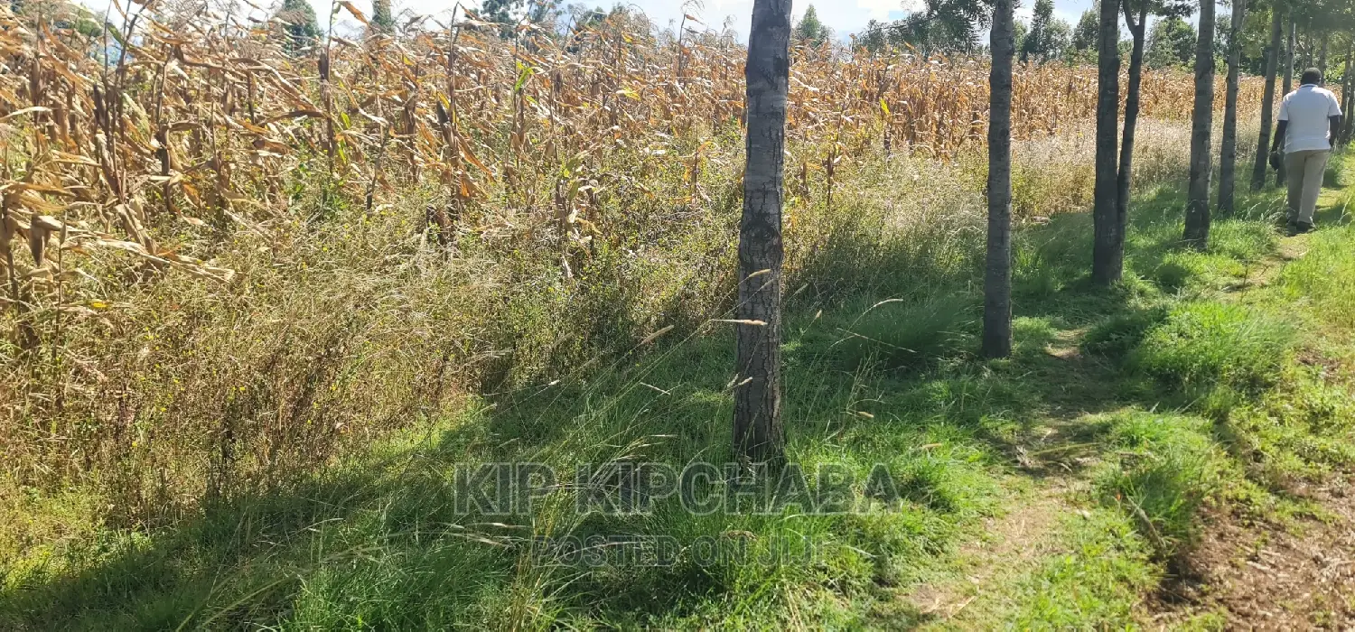 1⁄4 Plot for Sale in Chepkanga Before Mwisho Wa Lami