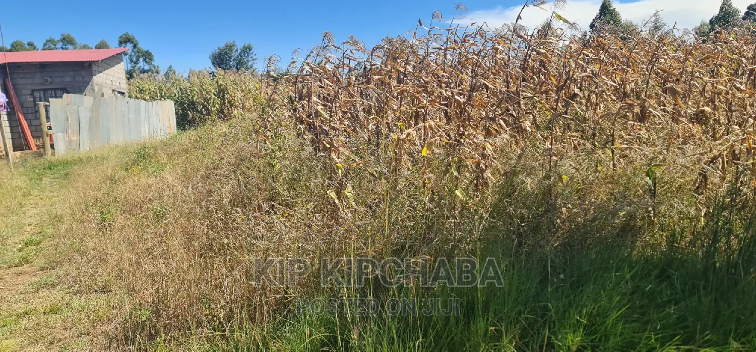 1⁄4 Plot for Sale in Chepkanga Before Mwisho Wa Lami