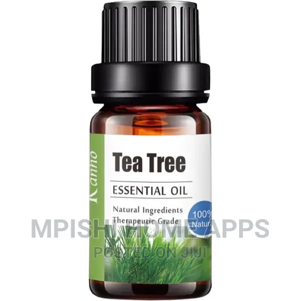 Natural Essential Oil Set